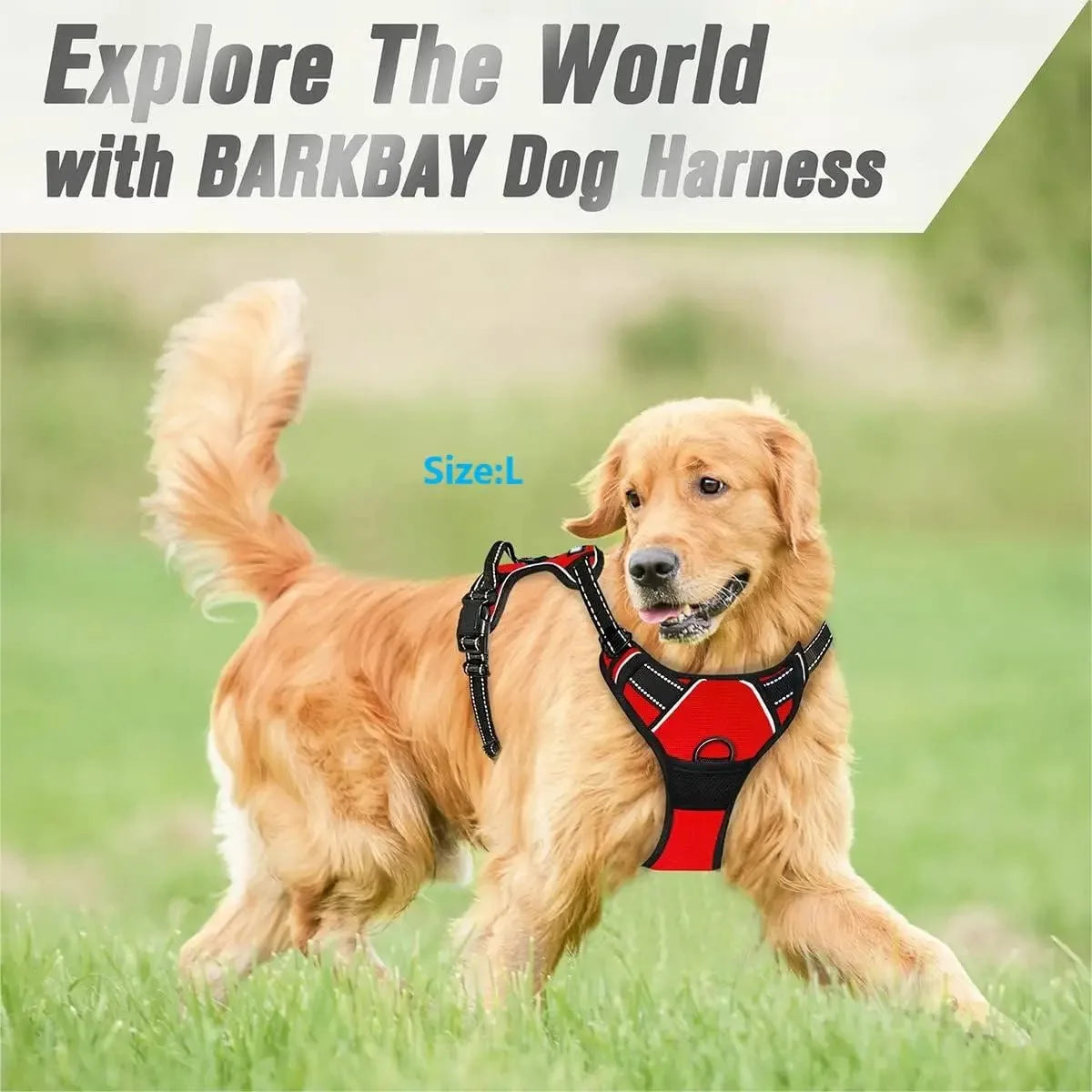 Dog Vests Leash