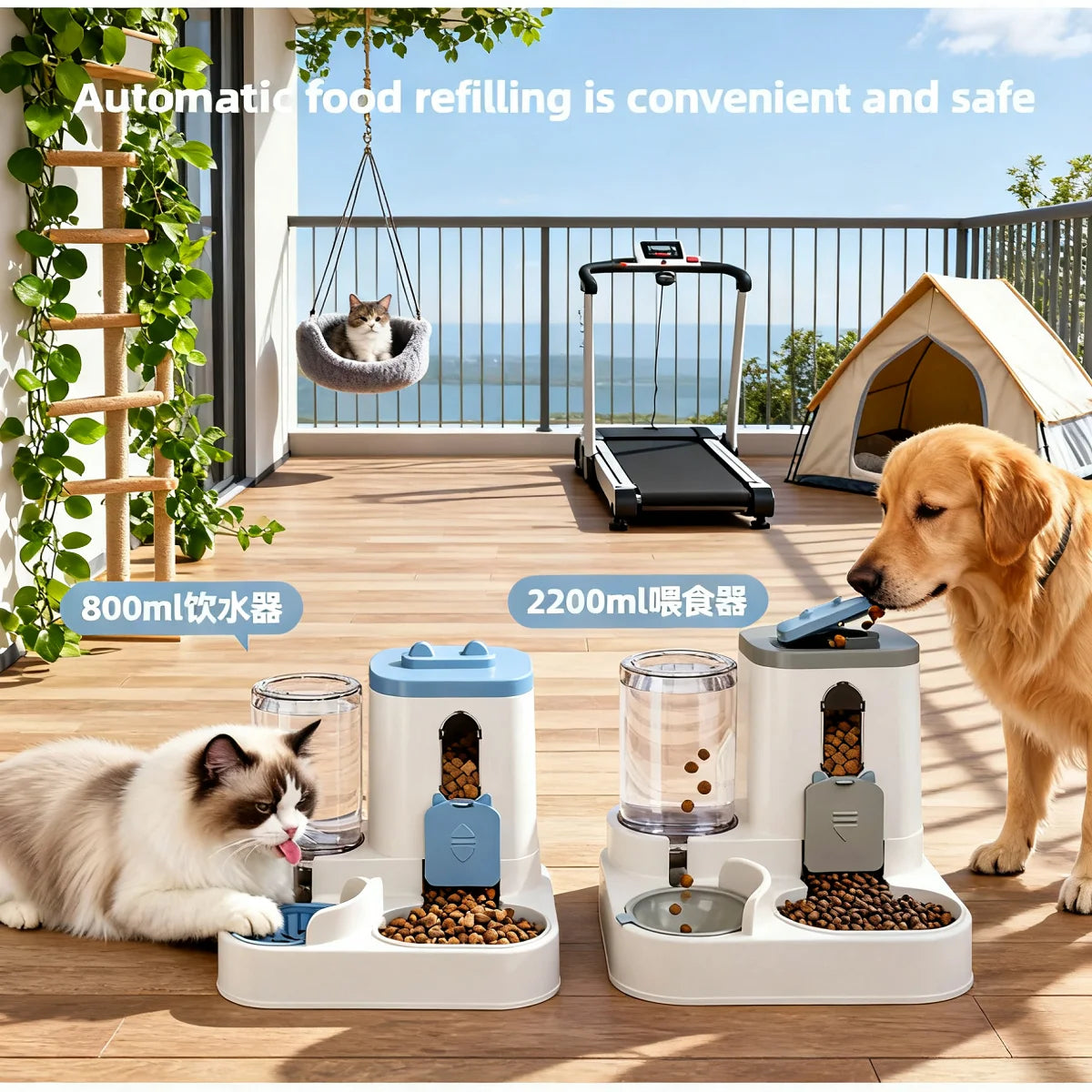 Dog & Cat Automatic Feeder