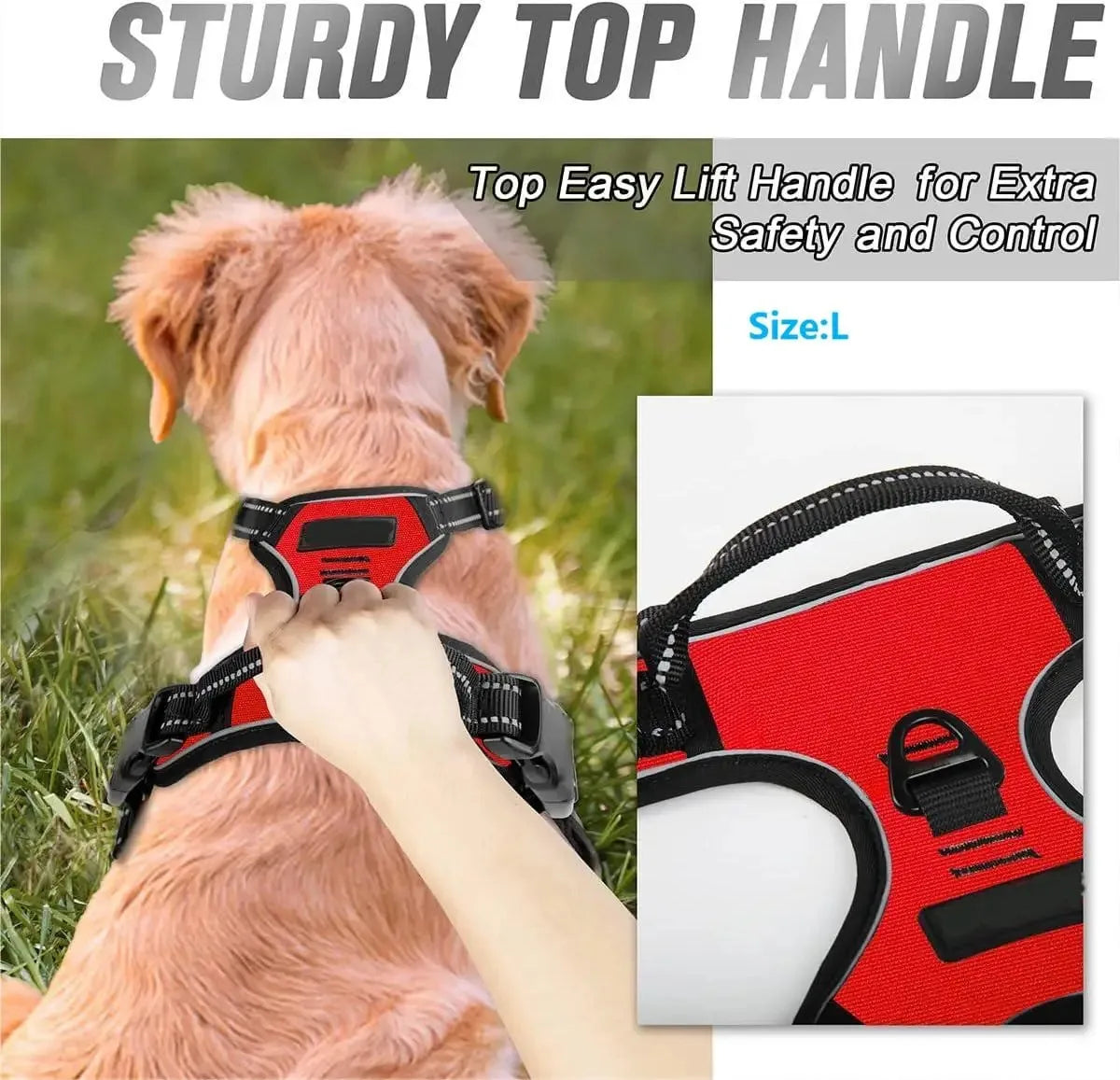 Dog Vests Leash